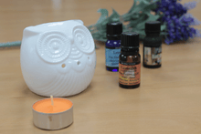 Load image into Gallery viewer, White Oil Burner - Short Owl
