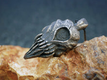 Load image into Gallery viewer, Draknag&#39;s skull &lt;br&gt;in Bronze
