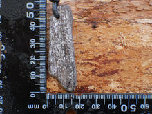 Load image into Gallery viewer, Petrified Wood G134
