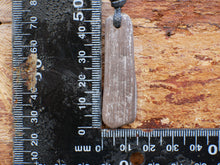 Load image into Gallery viewer, Petrified Wood G128
